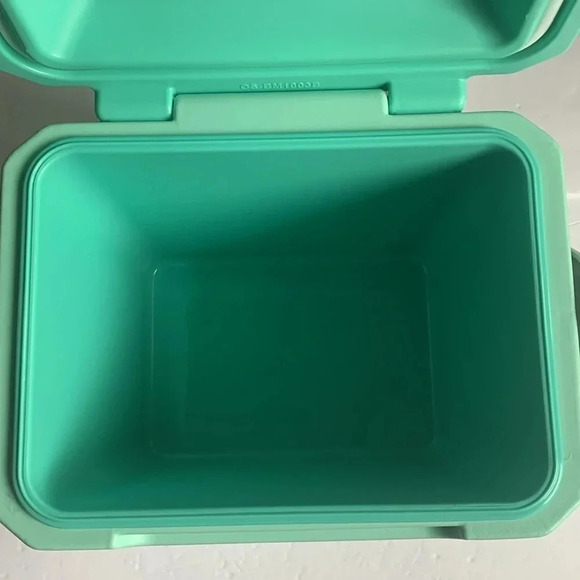 Igloo Tag Along 11 Qt Insulated Crossbody Strap SeaFoam Green NWT - Picture 9 of 9